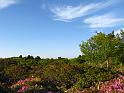 IMG_6893