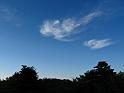 IMG_6907