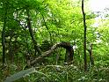 IMG_6917