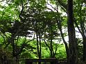 IMG_7304