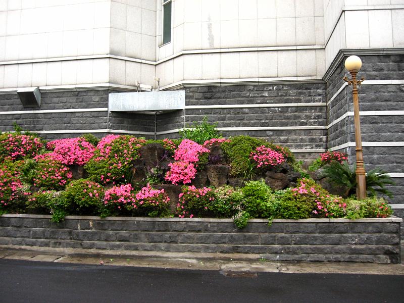 IMG_6350.jpg - JEJU - city