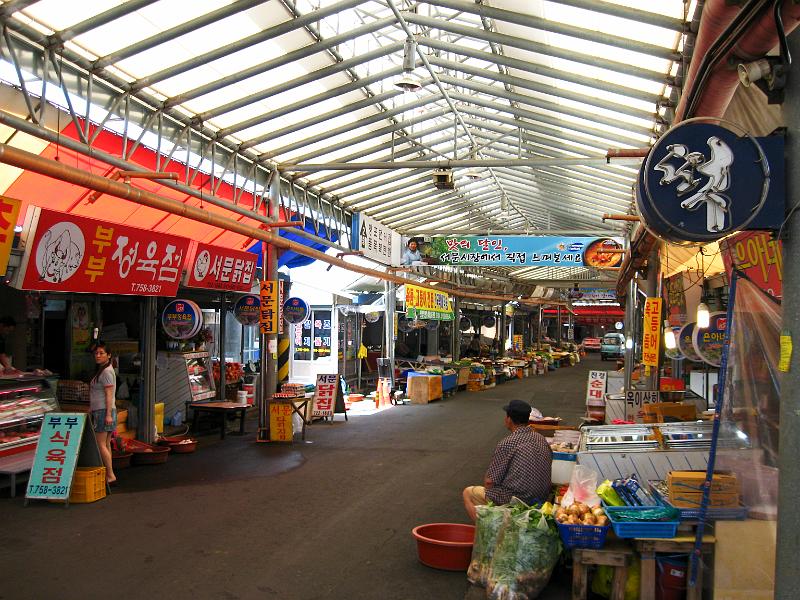 IMG_7359.jpg - JEJU - island