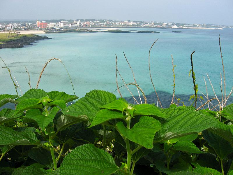 IMG_7440.jpg - JEJU - island