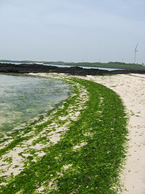 IMG_7482.jpg - JEJU - island