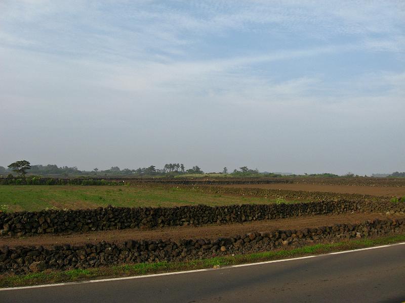 IMG_7565.jpg - JEJU - island