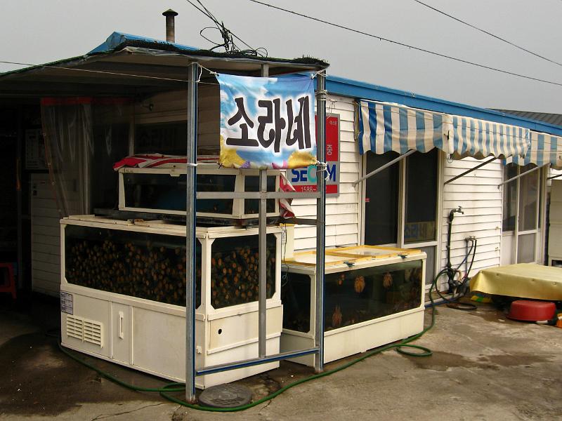 IMG_7635.jpg - JEJU - island