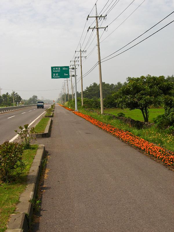 IMG_7651.jpg - JEJU - island