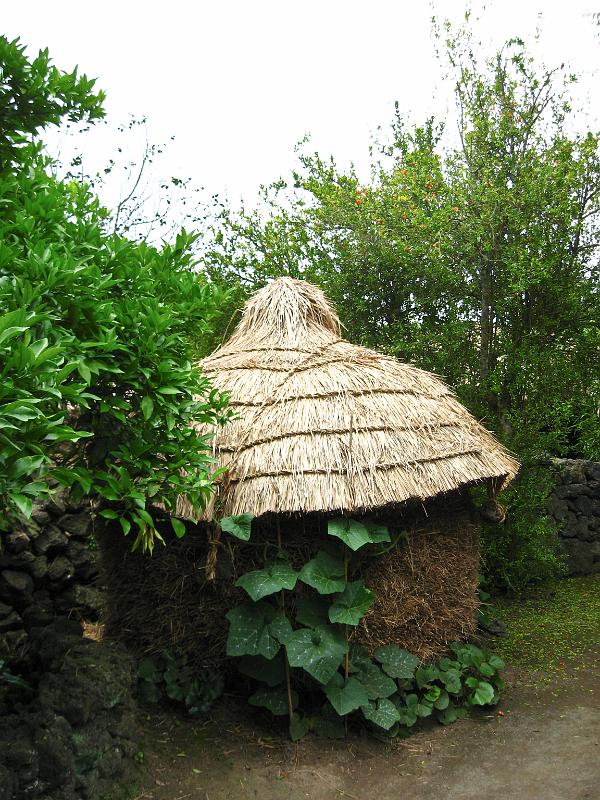 IMG_7707.jpg - JEJU - island