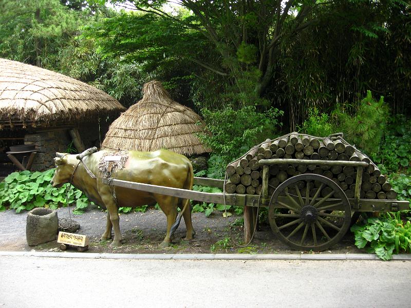IMG_7735.jpg - JEJU - island