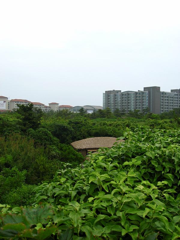 IMG_7772.jpg - JEJU - island