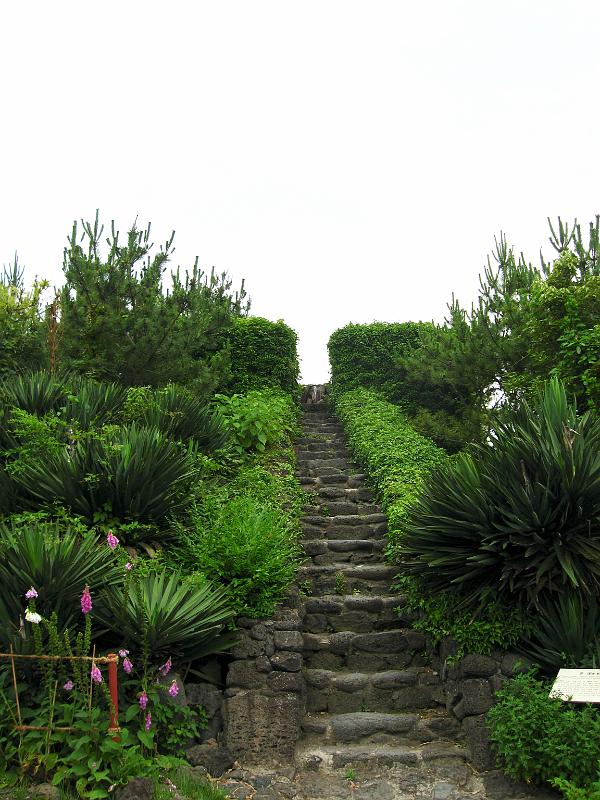 IMG_7773.jpg - JEJU - island