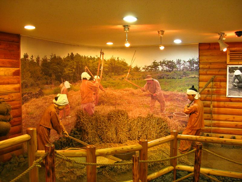 IMG_7812.jpg - JEJU - island