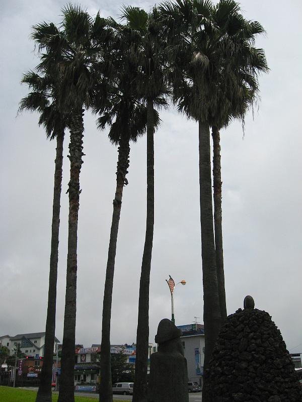 IMG_7876.jpg - JEJU - island