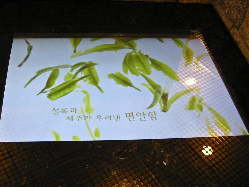 IMG_7992.jpg - JEJU - island
