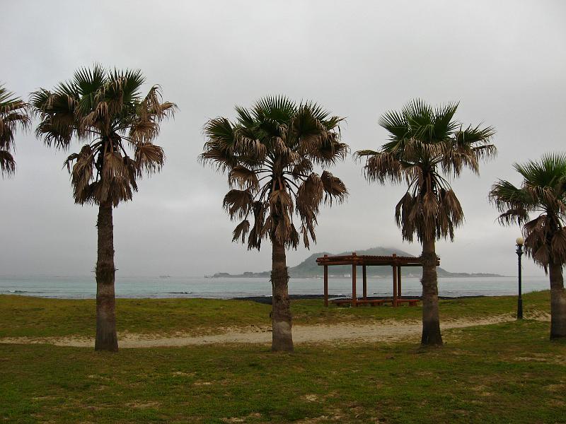 IMG_8026.jpg - JEJU - island