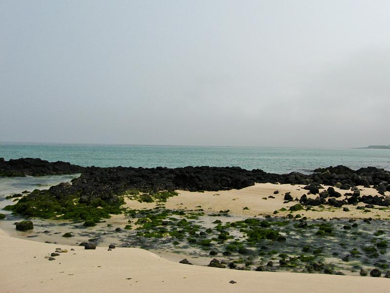 IMG_8076.jpg - JEJU - island