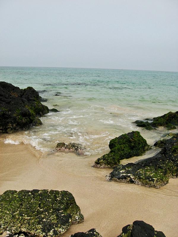 IMG_8092.jpg - JEJU - island