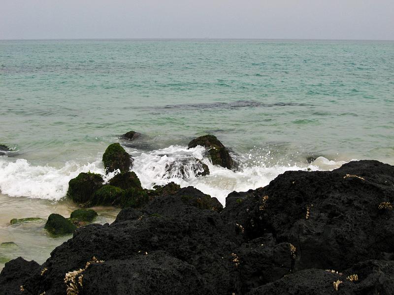 IMG_8116.jpg - JEJU - island