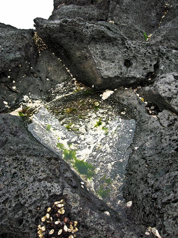 IMG_8124.jpg - JEJU - island