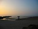 IMG_7387