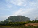 IMG_7599