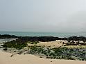 IMG_8076