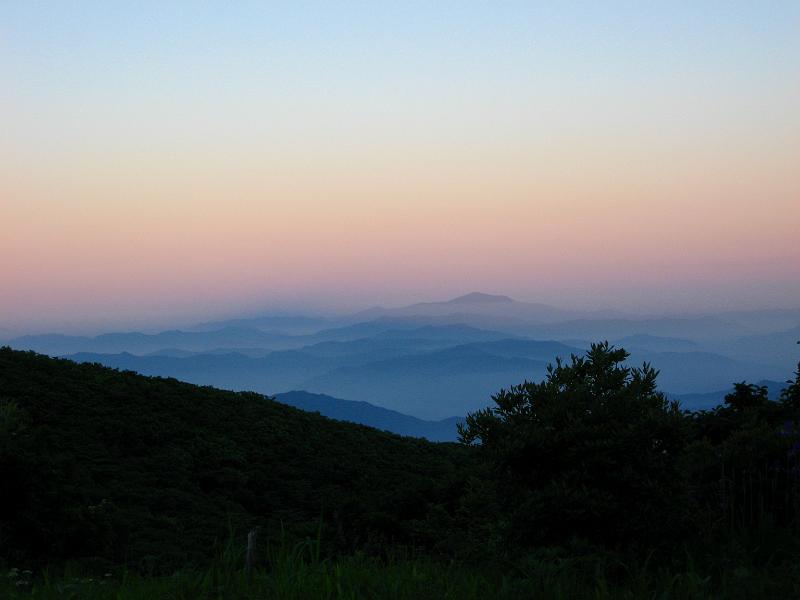 IMG_8338.jpg