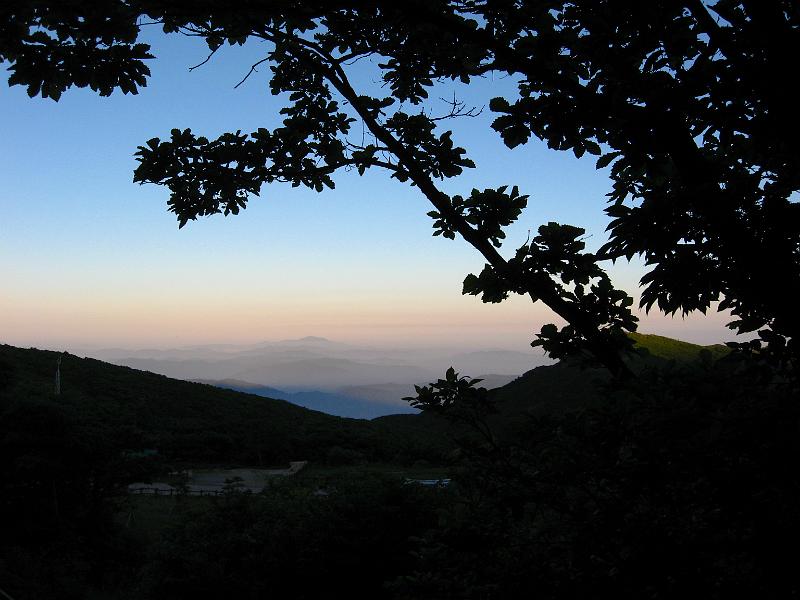 IMG_8342.jpg