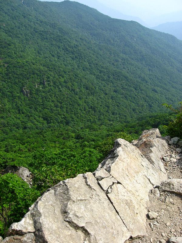 IMG_8423.jpg