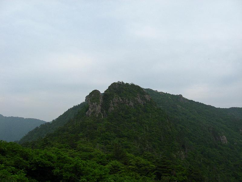 IMG_8455.jpg