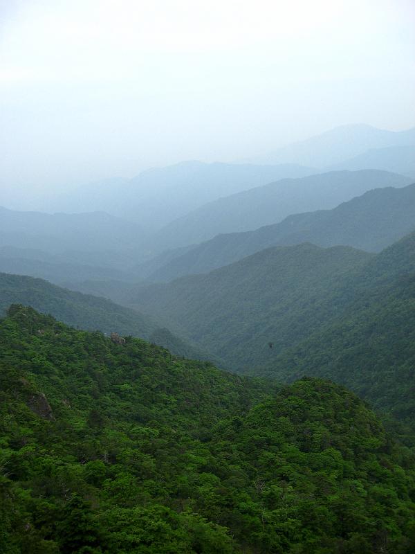 IMG_8461.jpg