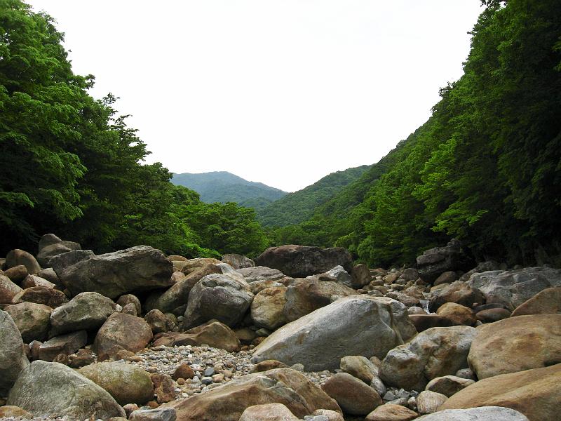 IMG_8559.jpg