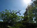 IMG_8377