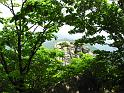 IMG_8388