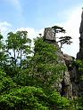IMG_8390