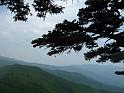IMG_8394