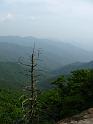 IMG_8432
