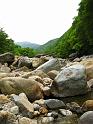 IMG_8558