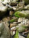 IMG_8564