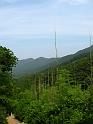 IMG_8308