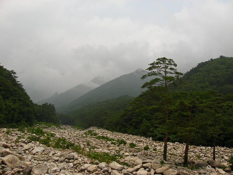 IMG_9234.jpg