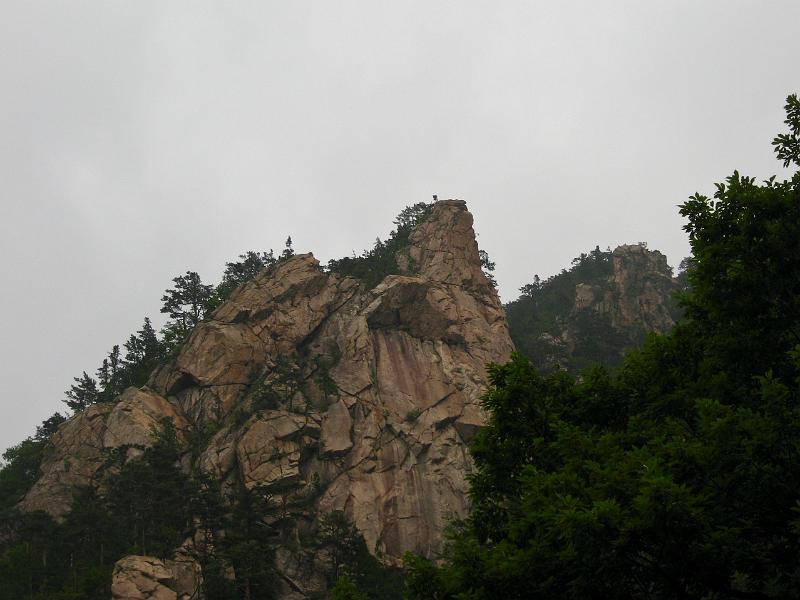IMG_9241.jpg