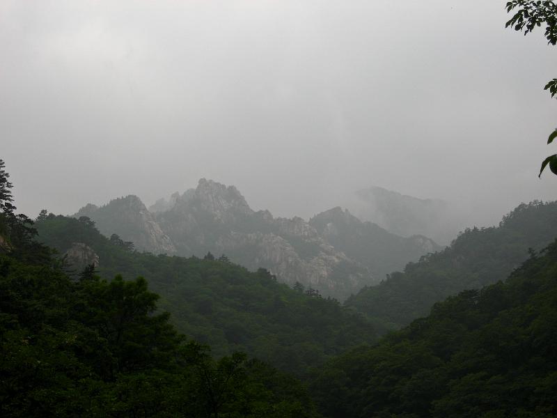 IMG_9242.jpg