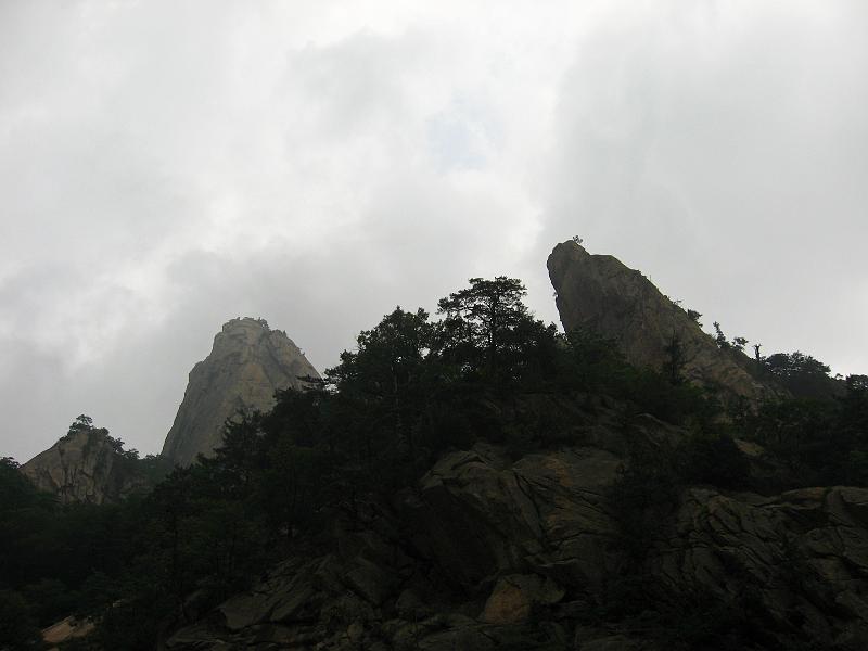IMG_9247.jpg