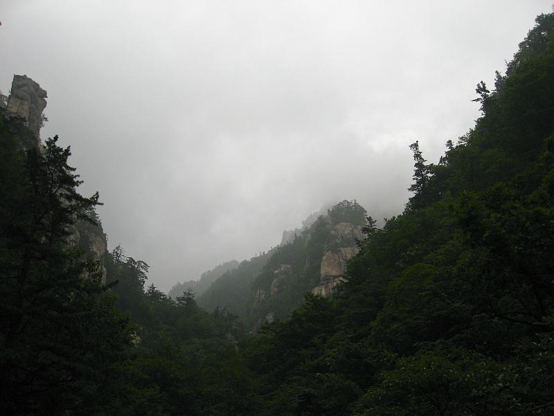 IMG_9273.jpg