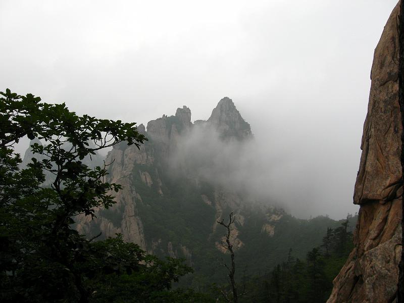 IMG_9378.jpg