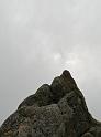 IMG_9352