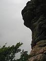 IMG_9394