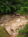 IMG_9424