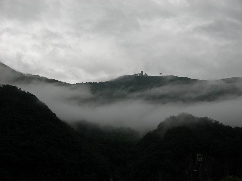 IMG_8949.jpg